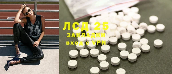 сатива Нефтекумск