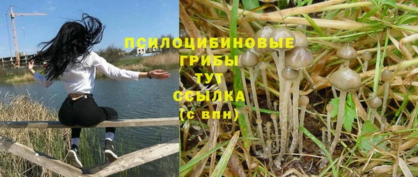 сатива Нефтекумск