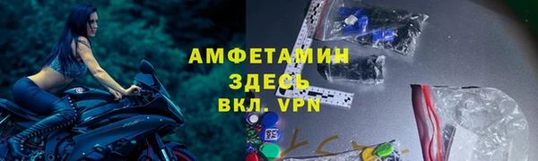 сатива Нефтекумск