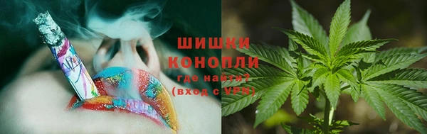 гашик Нефтегорск