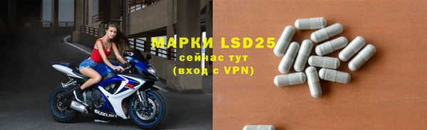 сатива Нефтекумск
