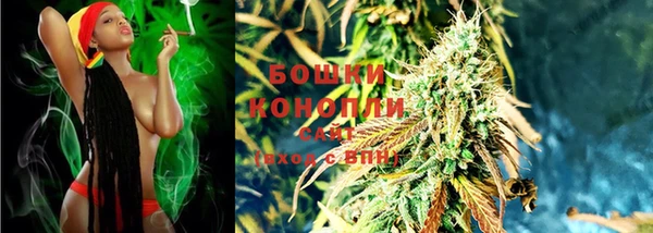 сатива Нефтекумск
