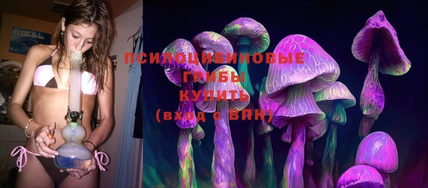 гашик Нефтегорск