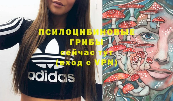 гашик Нефтегорск
