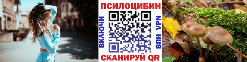 Купить закладки  Нестеровская  Псилоцибиновые грибы GOLDEN TEACHER 